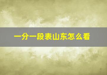 一分一段表山东怎么看