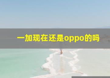 一加现在还是oppo的吗