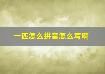 一匹怎么拼音怎么写啊