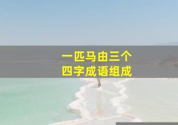 一匹马由三个四字成语组成