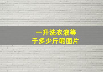 一升洗衣液等于多少斤呢图片