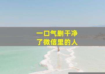 一口气删干净了微信里的人