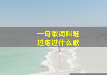 一句歌词叫难过难过什么歌