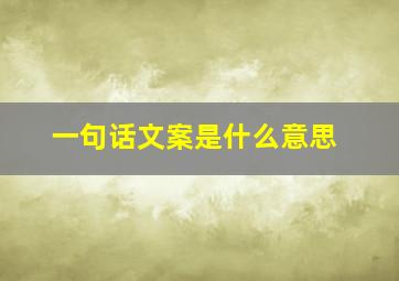 一句话文案是什么意思