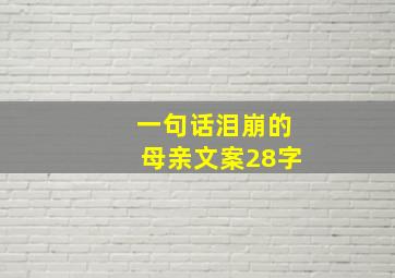 一句话泪崩的母亲文案28字