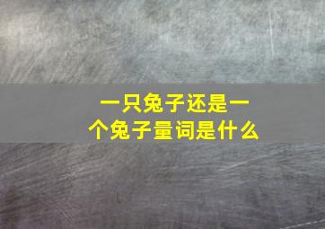 一只兔子还是一个兔子量词是什么