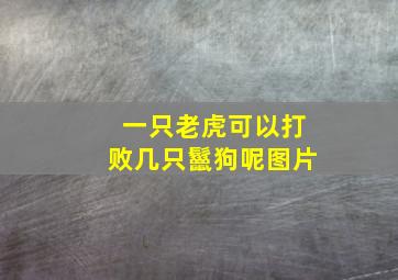 一只老虎可以打败几只鬣狗呢图片