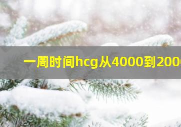 一周时间hcg从4000到20000