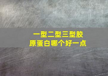 一型二型三型胶原蛋白哪个好一点