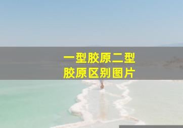 一型胶原二型胶原区别图片