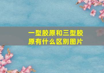 一型胶原和三型胶原有什么区别图片