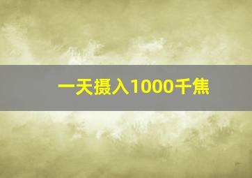 一天摄入1000千焦