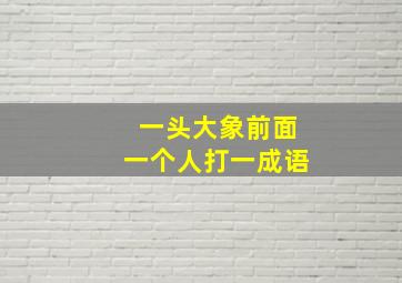 一头大象前面一个人打一成语