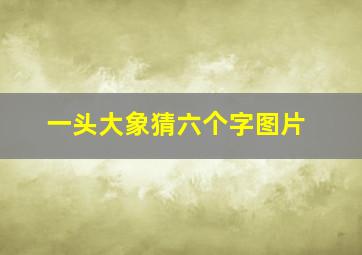 一头大象猜六个字图片