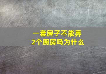 一套房子不能弄2个厨房吗为什么