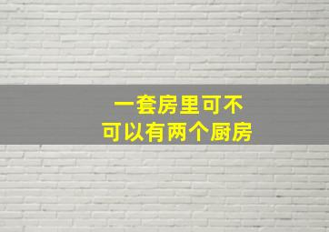 一套房里可不可以有两个厨房