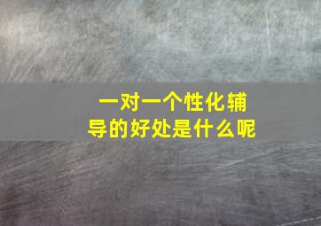 一对一个性化辅导的好处是什么呢