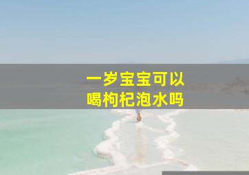 一岁宝宝可以喝枸杞泡水吗