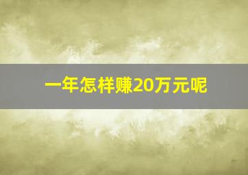 一年怎样赚20万元呢