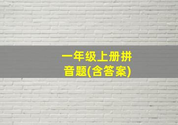 一年级上册拼音题(含答案)