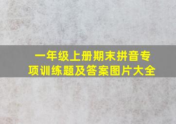 一年级上册期末拼音专项训练题及答案图片大全