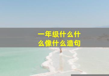 一年级什么什么像什么造句