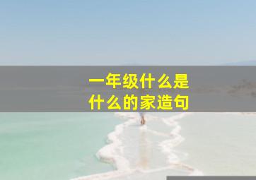 一年级什么是什么的家造句