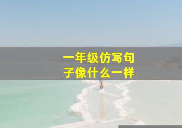 一年级仿写句子像什么一样