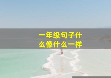 一年级句子什么像什么一样