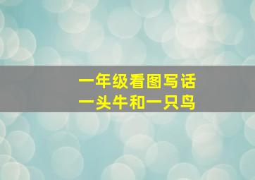 一年级看图写话一头牛和一只鸟