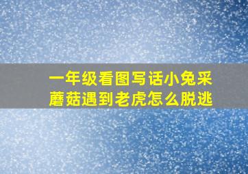 一年级看图写话小兔采蘑菇遇到老虎怎么脱逃