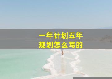 一年计划五年规划怎么写的