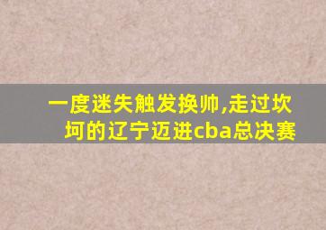 一度迷失触发换帅,走过坎坷的辽宁迈进cba总决赛