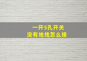 一开5孔开关没有地线怎么接