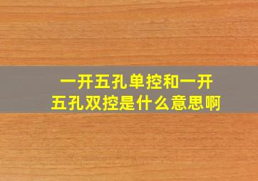 一开五孔单控和一开五孔双控是什么意思啊