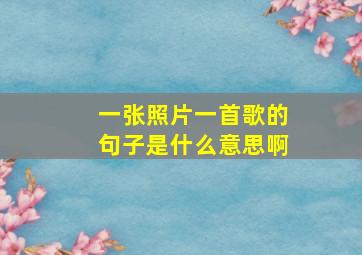 一张照片一首歌的句子是什么意思啊