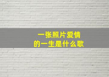 一张照片爱情的一生是什么歌