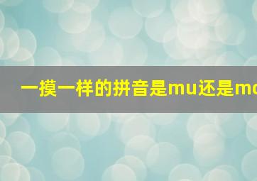 一摸一样的拼音是mu还是mo