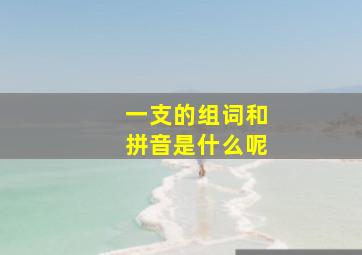 一支的组词和拼音是什么呢