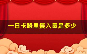 一日卡路里摄入量是多少