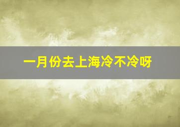 一月份去上海冷不冷呀