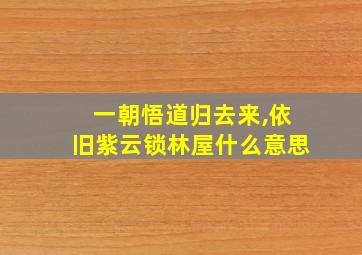 一朝悟道归去来,依旧紫云锁林屋什么意思