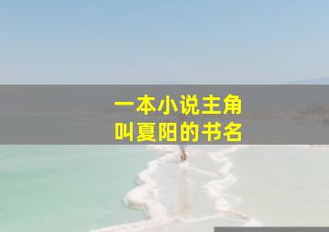 一本小说主角叫夏阳的书名