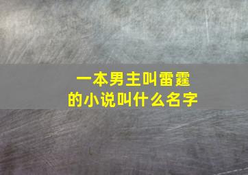 一本男主叫雷霆的小说叫什么名字