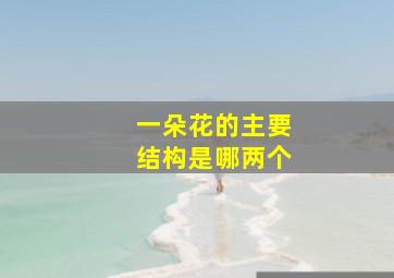 一朵花的主要结构是哪两个