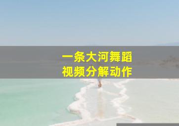 一条大河舞蹈视频分解动作