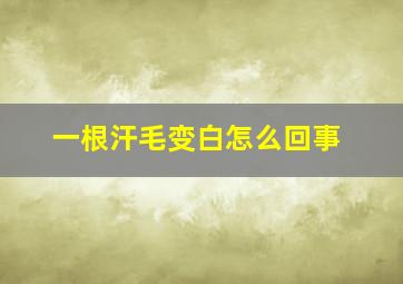 一根汗毛变白怎么回事