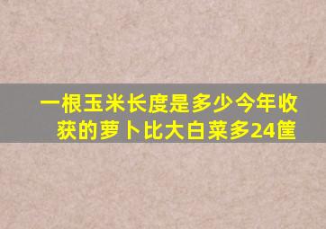 一根玉米长度是多少今年收获的萝卜比大白菜多24筐