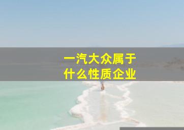 一汽大众属于什么性质企业