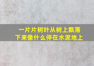 一片片树叶从树上飘落下来像什么停在水泥地上